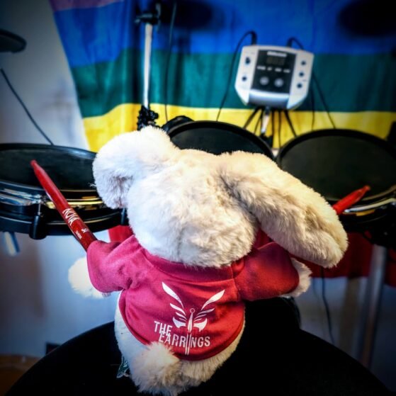 Wanna Be An Earring?